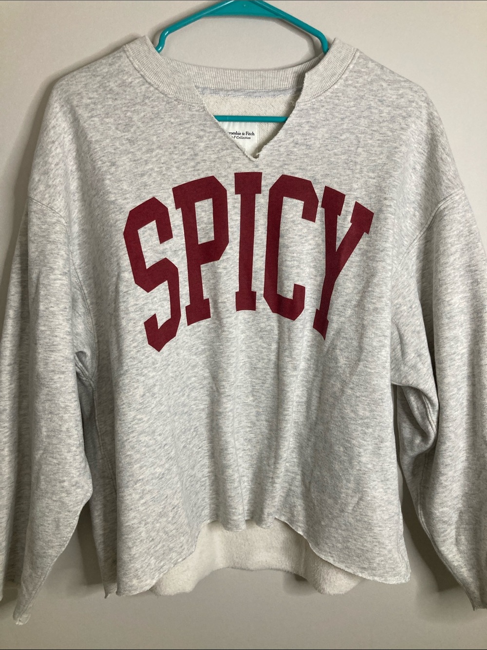 Abercrombie & Fitch Light Gray 'SPICY' Crewneck Sweatshirt